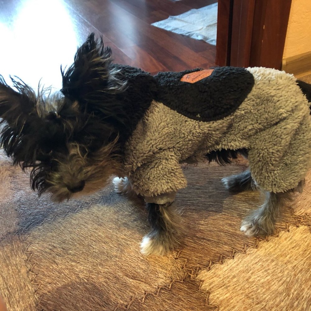 Winter Clothes For Small Medium Dogs and Cats, Jumpsuit For Dogs and Cats - Picture 4 of 8